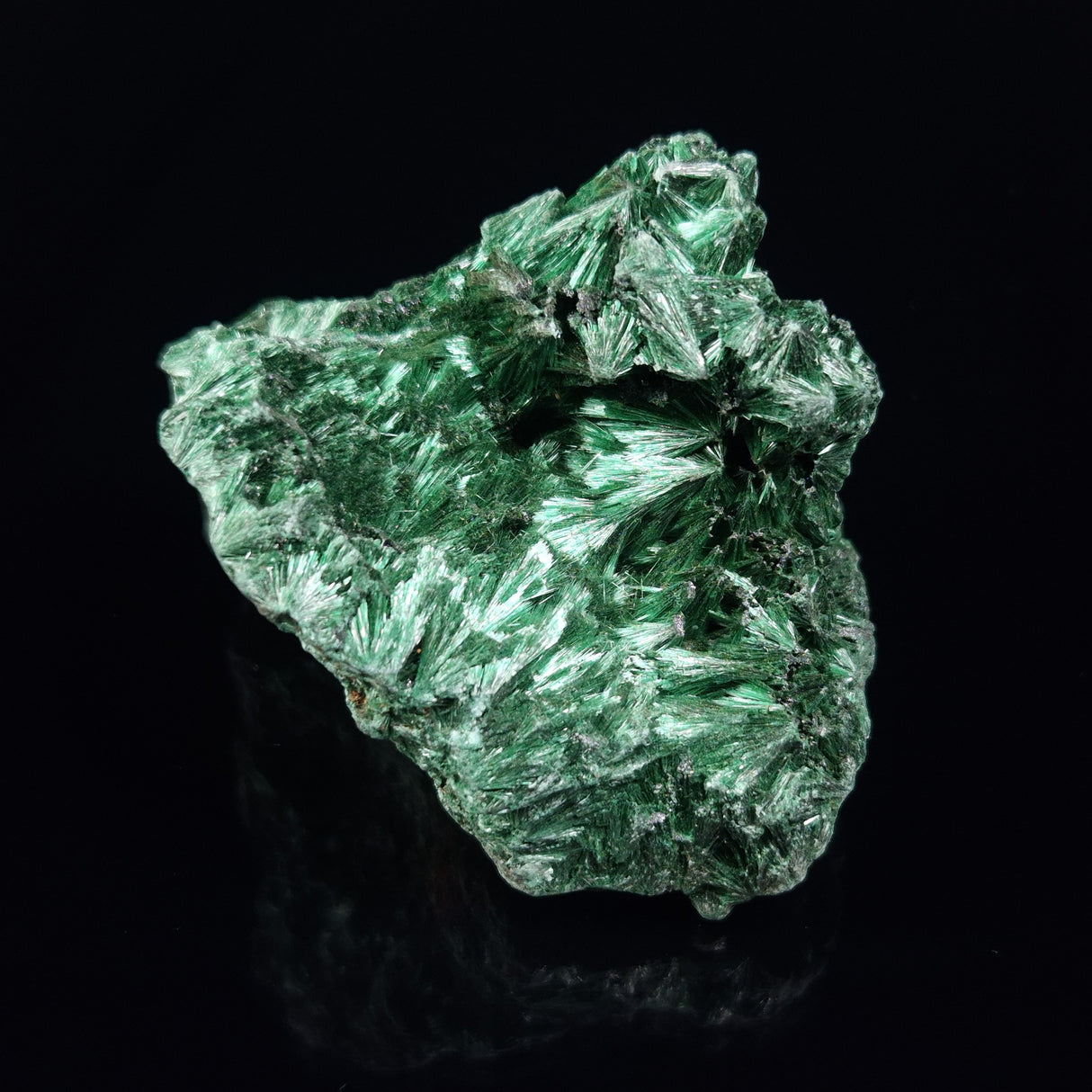 VELVET MALACHITE, Democratic Republic of Congo XVM035