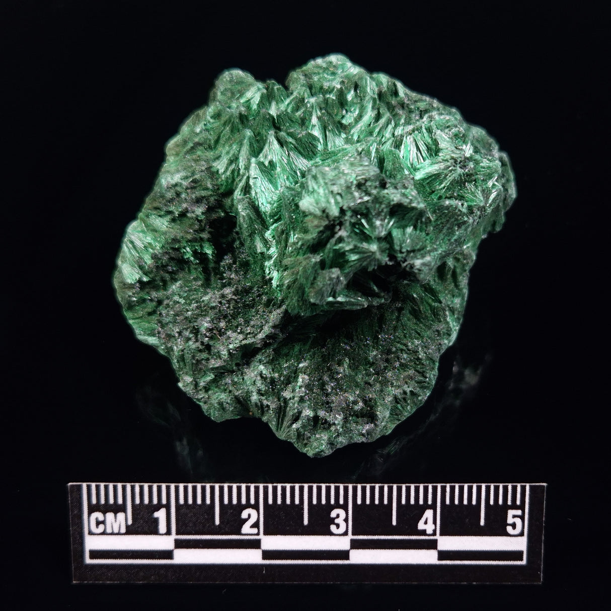 VELVET MALACHITE, Democratic Republic of Congo XVM035