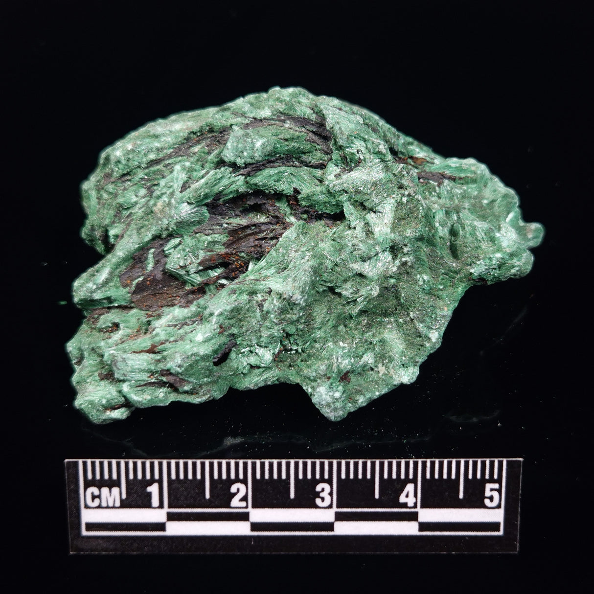 VELVET MALACHITE, Democratic Republic of Congo XVM036