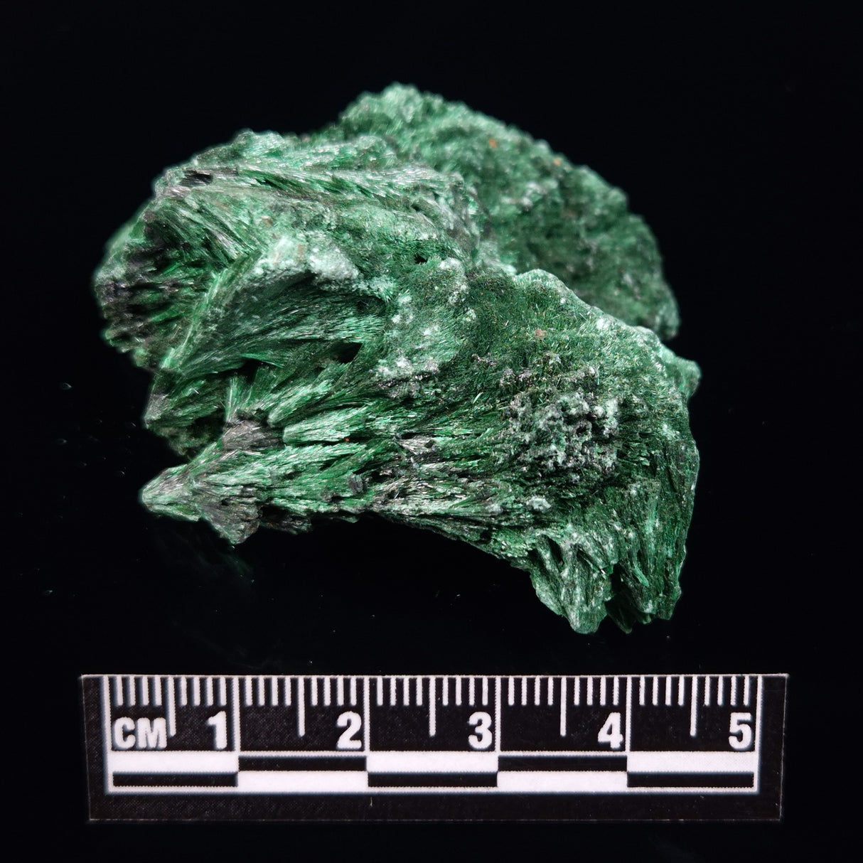 VELVET MALACHITE, Democratic Republic of Congo XVM037