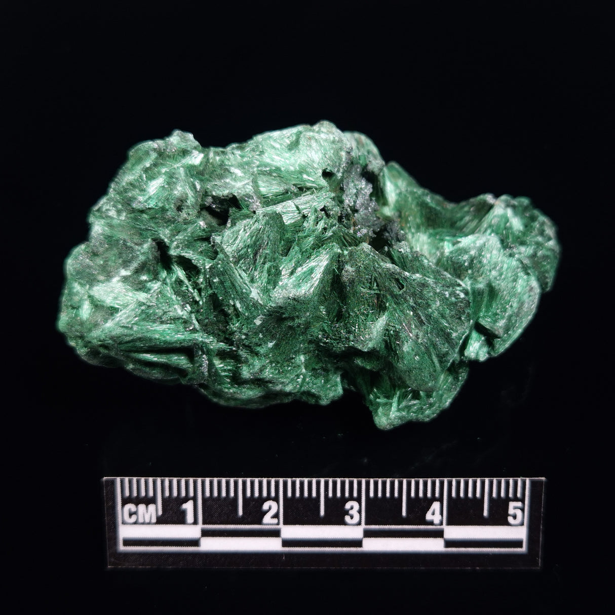 VELVET MALACHITE, Democratic Republic of Congo XVM038