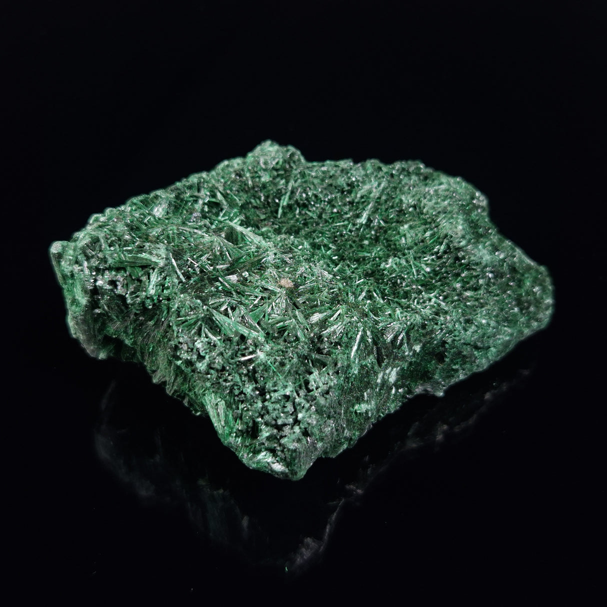 VELVET MALACHITE, Democratic Republic of Congo XVM039