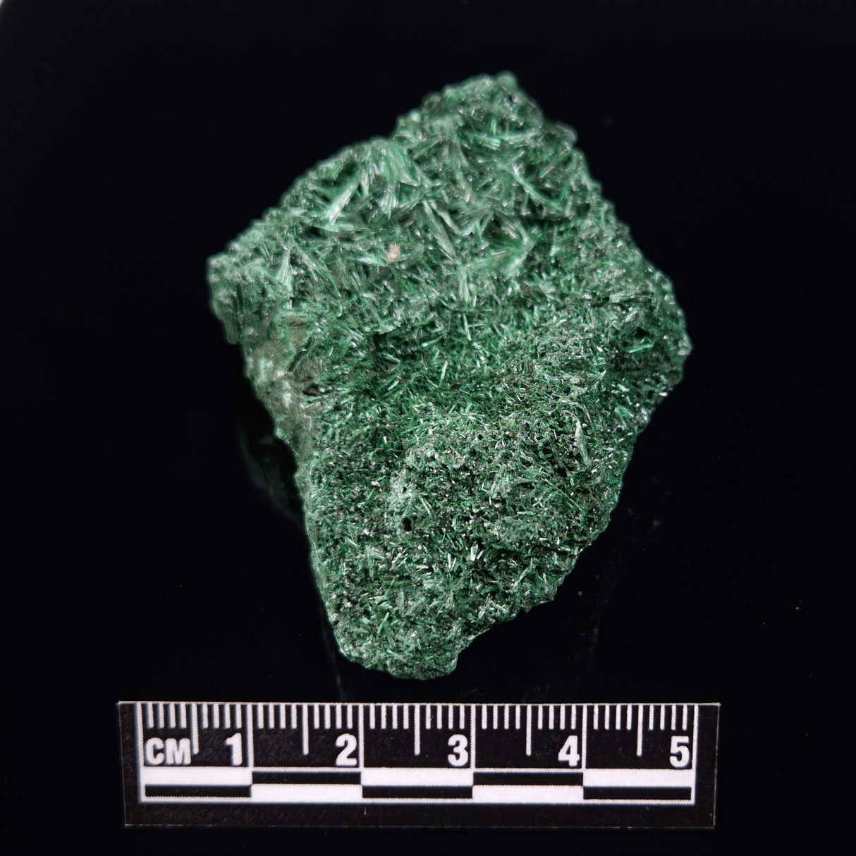 VELVET MALACHITE, Democratic Republic of Congo XVM039