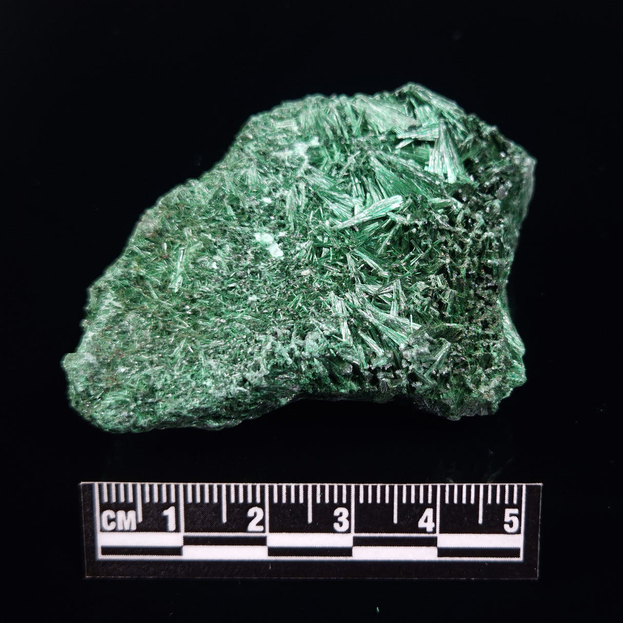 VELVET MALACHITE, Democratic Republic of Congo XVM039