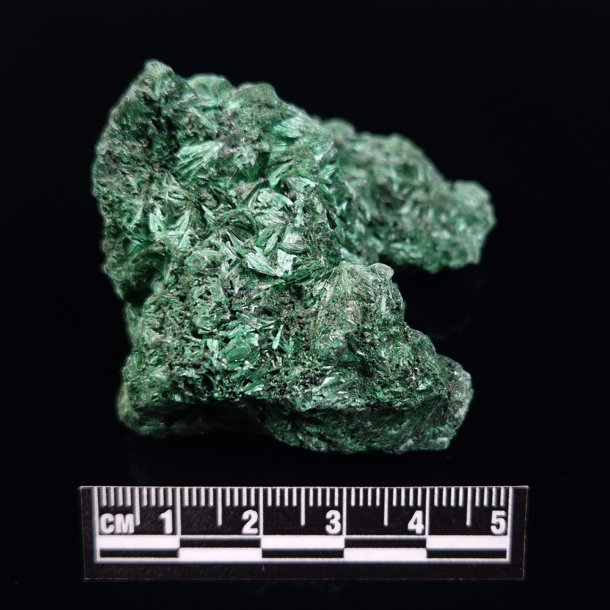 VELVET MALACHITE, Democratic Republic of Congo XVM040