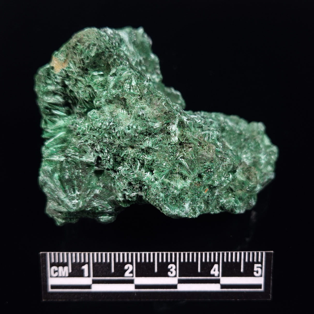 VELVET MALACHITE, Democratic Republic of Congo XVM040