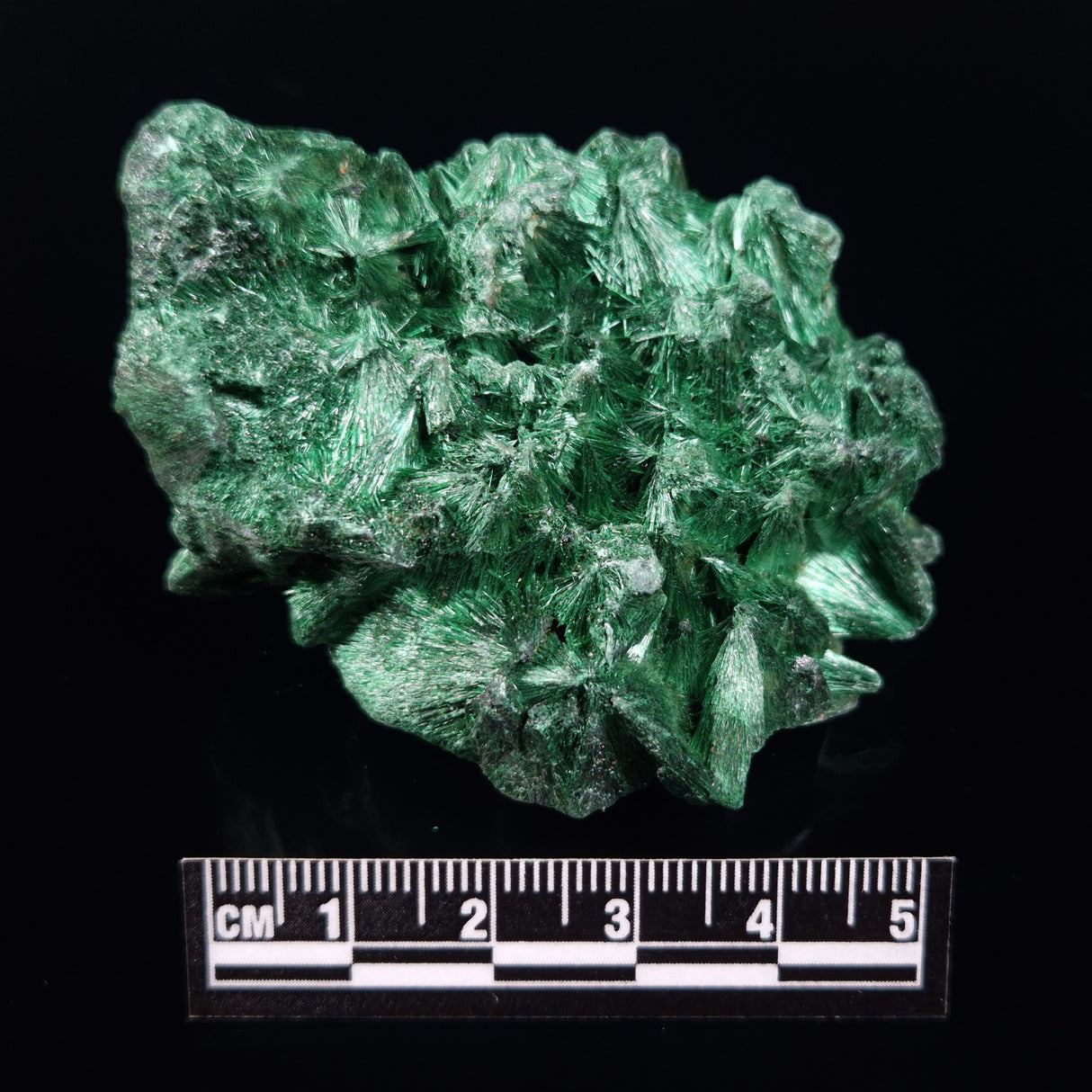 VELVET MALACHITE, Democratic Republic of Congo XVM041