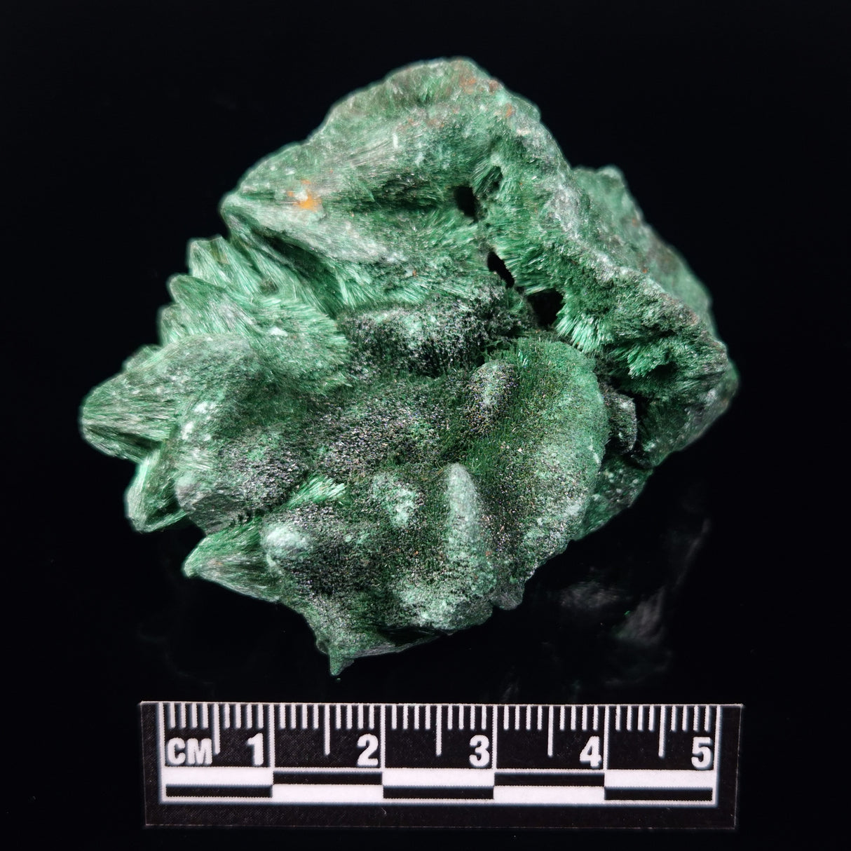 VELVET MALACHITE, Democratic Republic of Congo XVM041