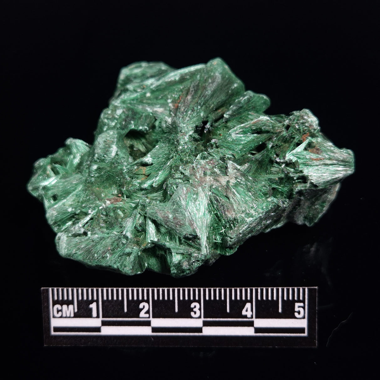 VELVET MALACHITE, Democratic Republic of Congo XVM044