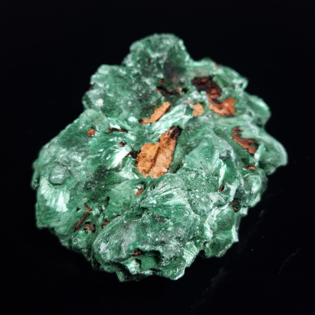 VELVET MALACHITE, Democratic Republic of Congo XVM045
