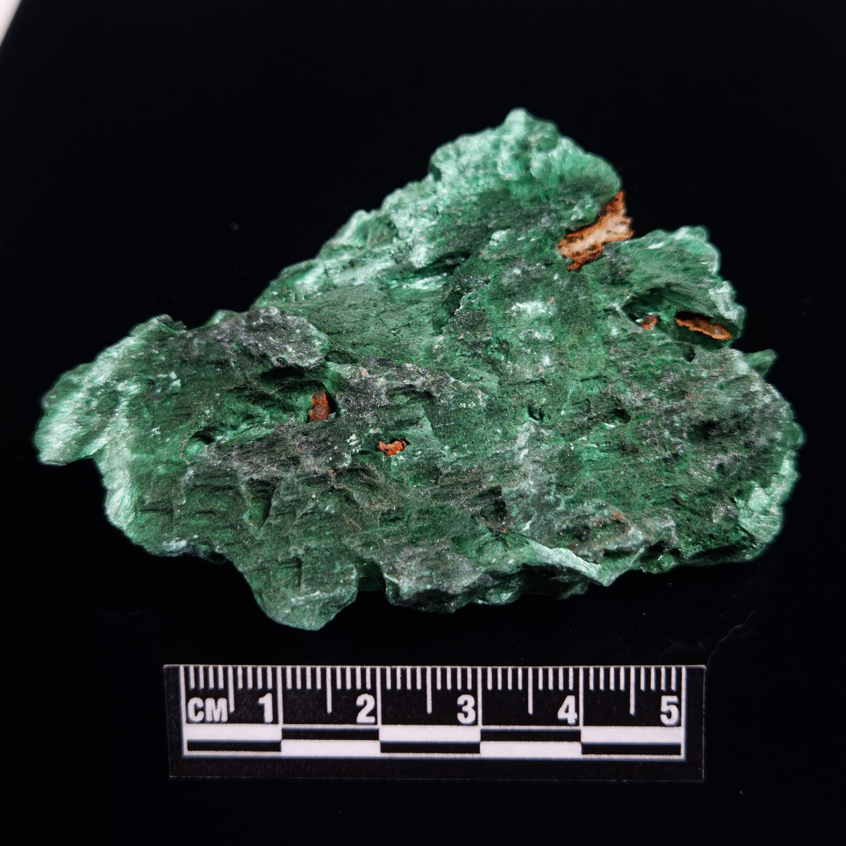 VELVET MALACHITE, Democratic Republic of Congo XVM045