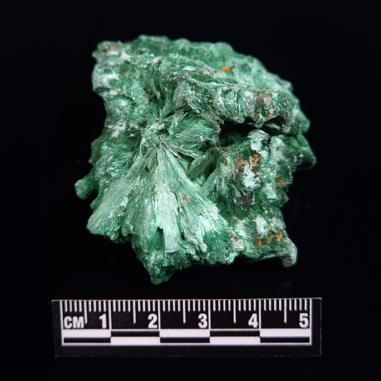 VELVET MALACHITE, Democratic Republic of Congo XVM046