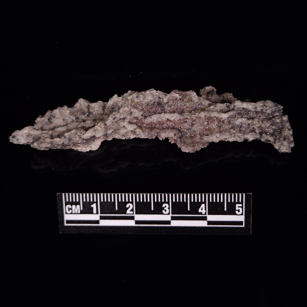 FULGURITE LIGHTNING GLASS, Queensland, Australia XFA010