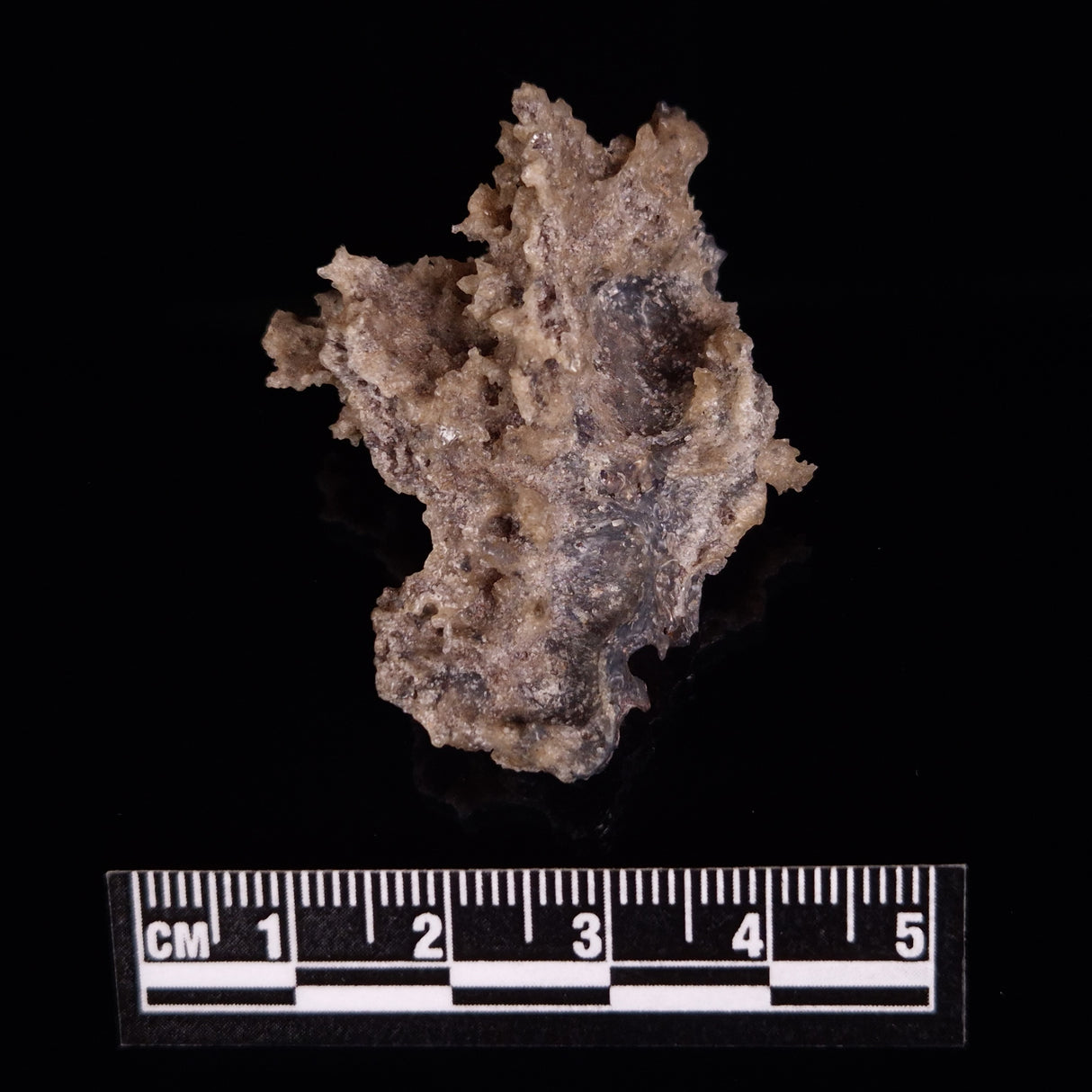 FULGURITE LIGHTNING GLASS, Queensland, Australia XFA011