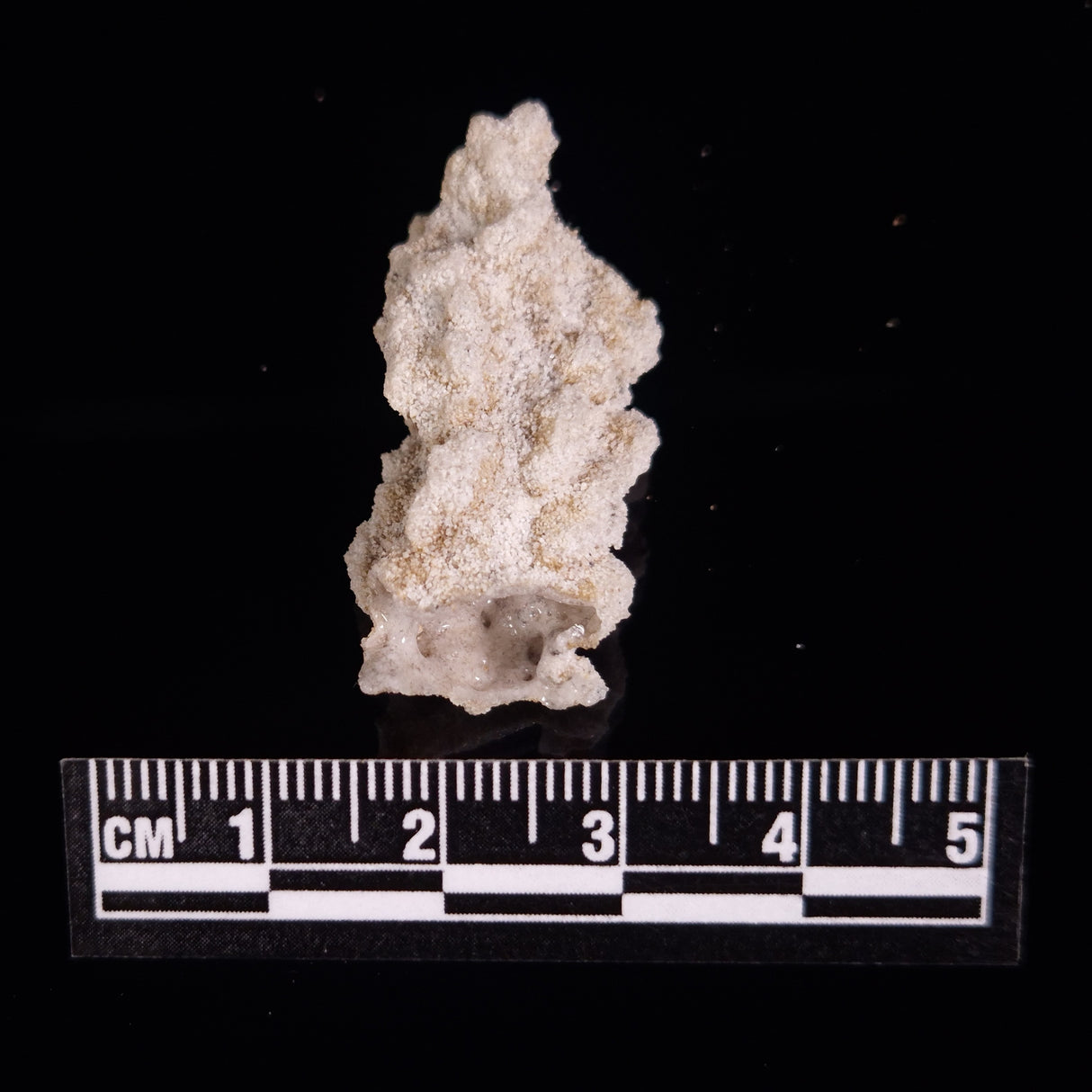 FULGURITE LIGHTNING GLASS, Queensland, Australia XFA017
