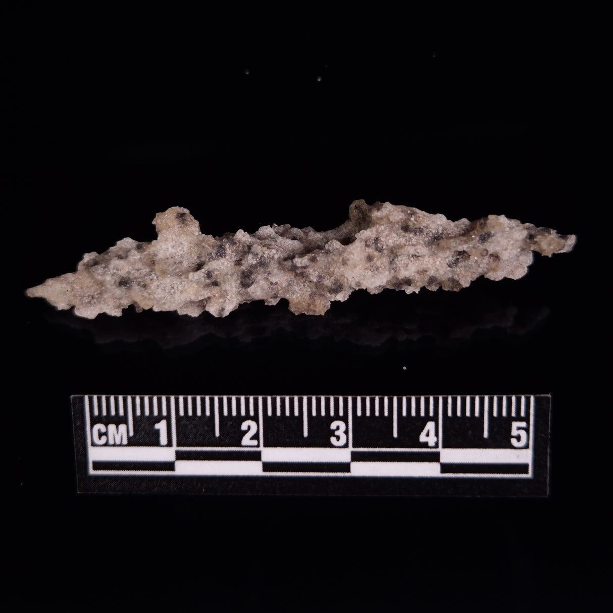 FULGURITE LIGHTNING GLASS, Queensland, Australia XFA018
