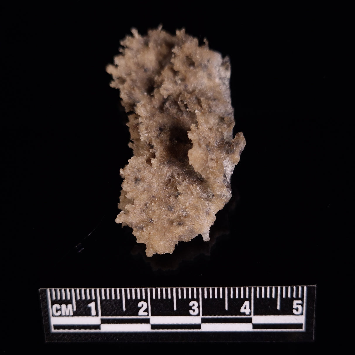 FULGURITE LIGHTNING GLASS, Queensland, Australia XFA019