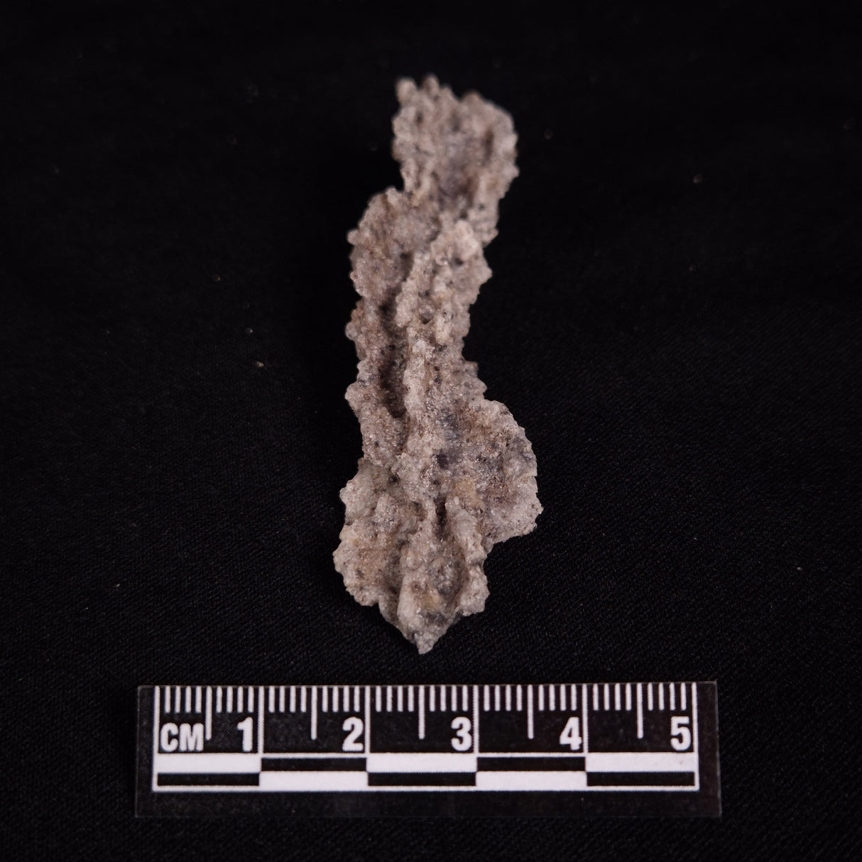 FULGURITE LIGHTNING GLASS, Queensland, Australia XFA020