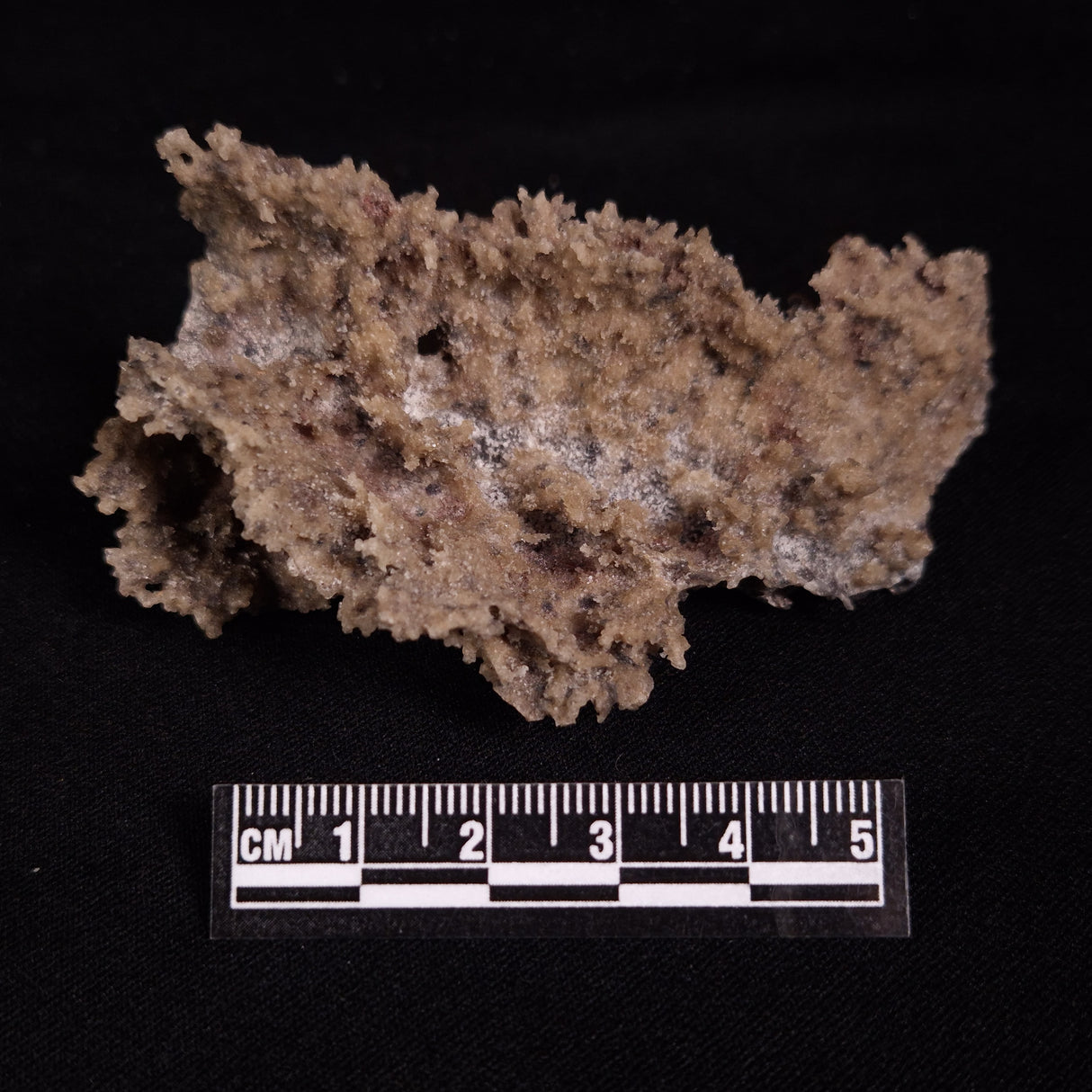FULGURITE LIGHTNING GLASS, Queensland, Australia XFA021
