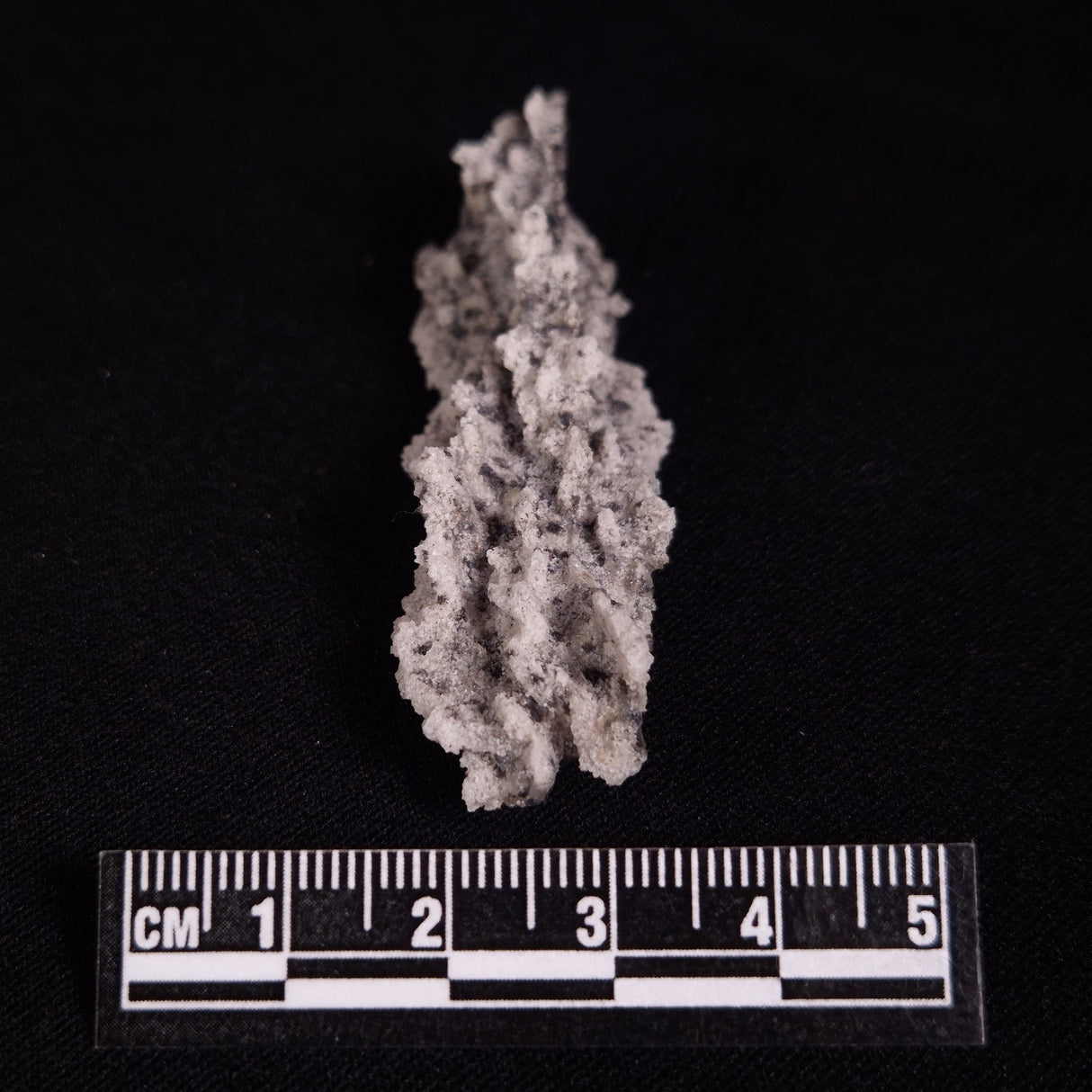 FULGURITE LIGHTNING GLASS, Queensland, Australia XFA023
