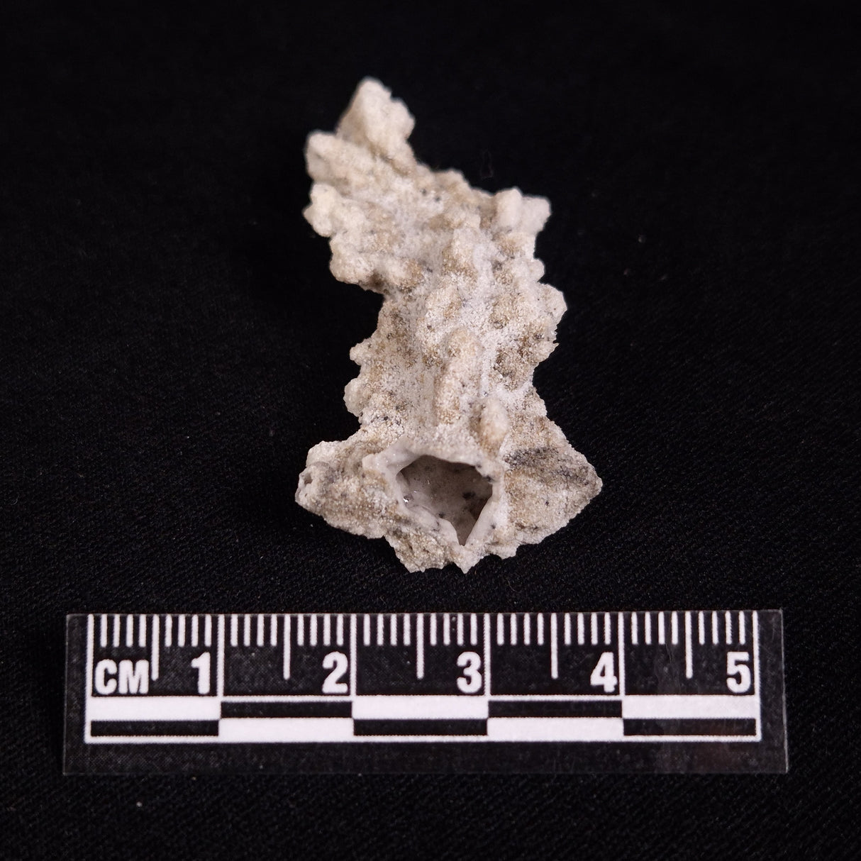 FULGURITE LIGHTNING GLASS, Queensland, Australia XFA026