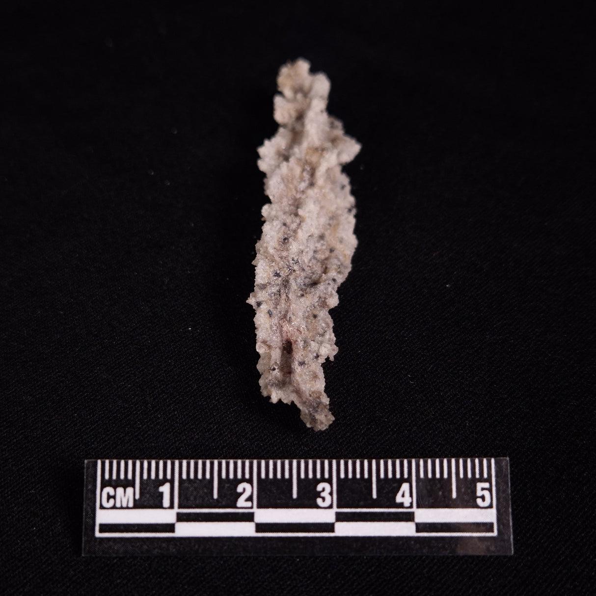 FULGURITE LIGHTNING GLASS, Queensland, Australia XFA027