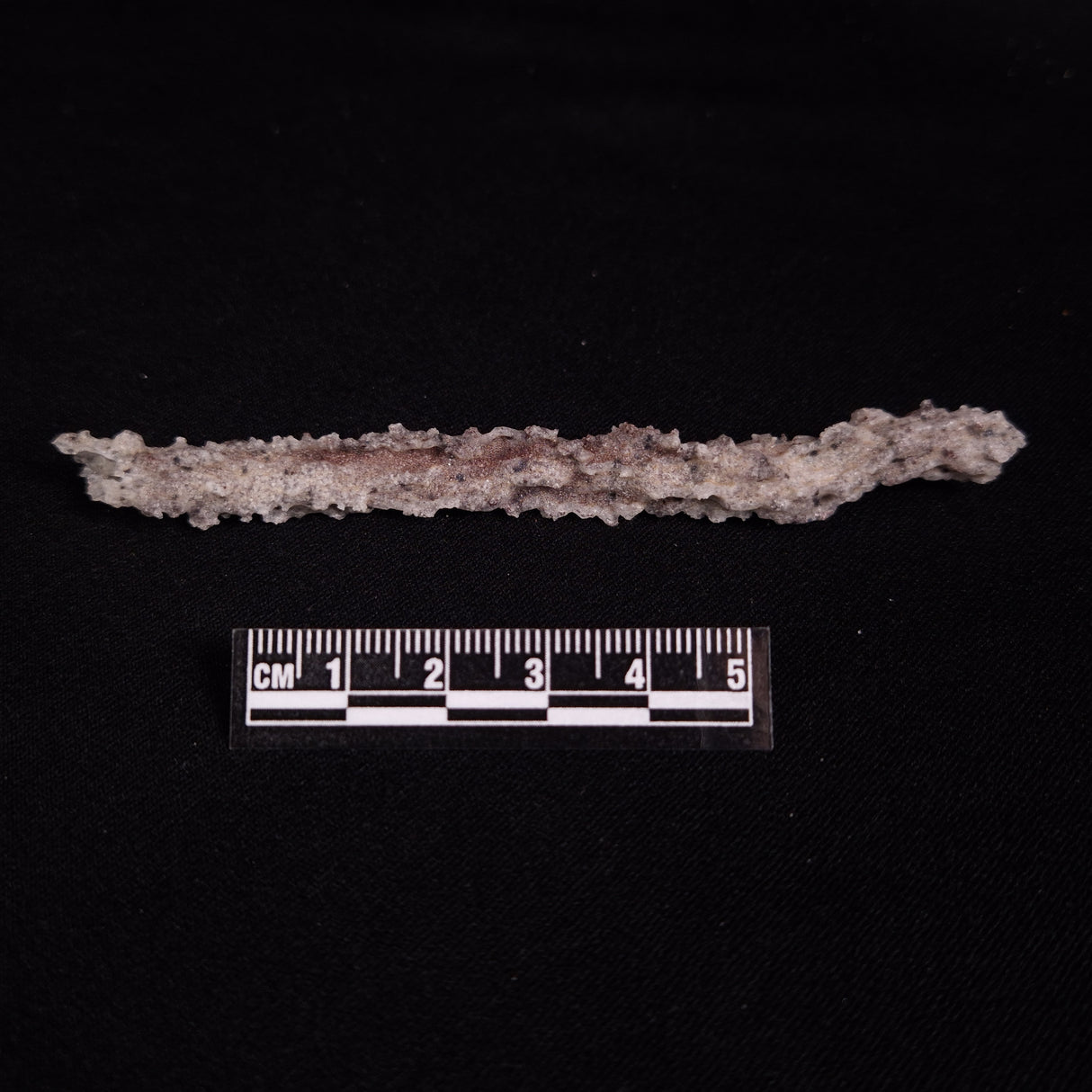 FULGURITE LIGHTNING GLASS, Queensland, Australia XFA030