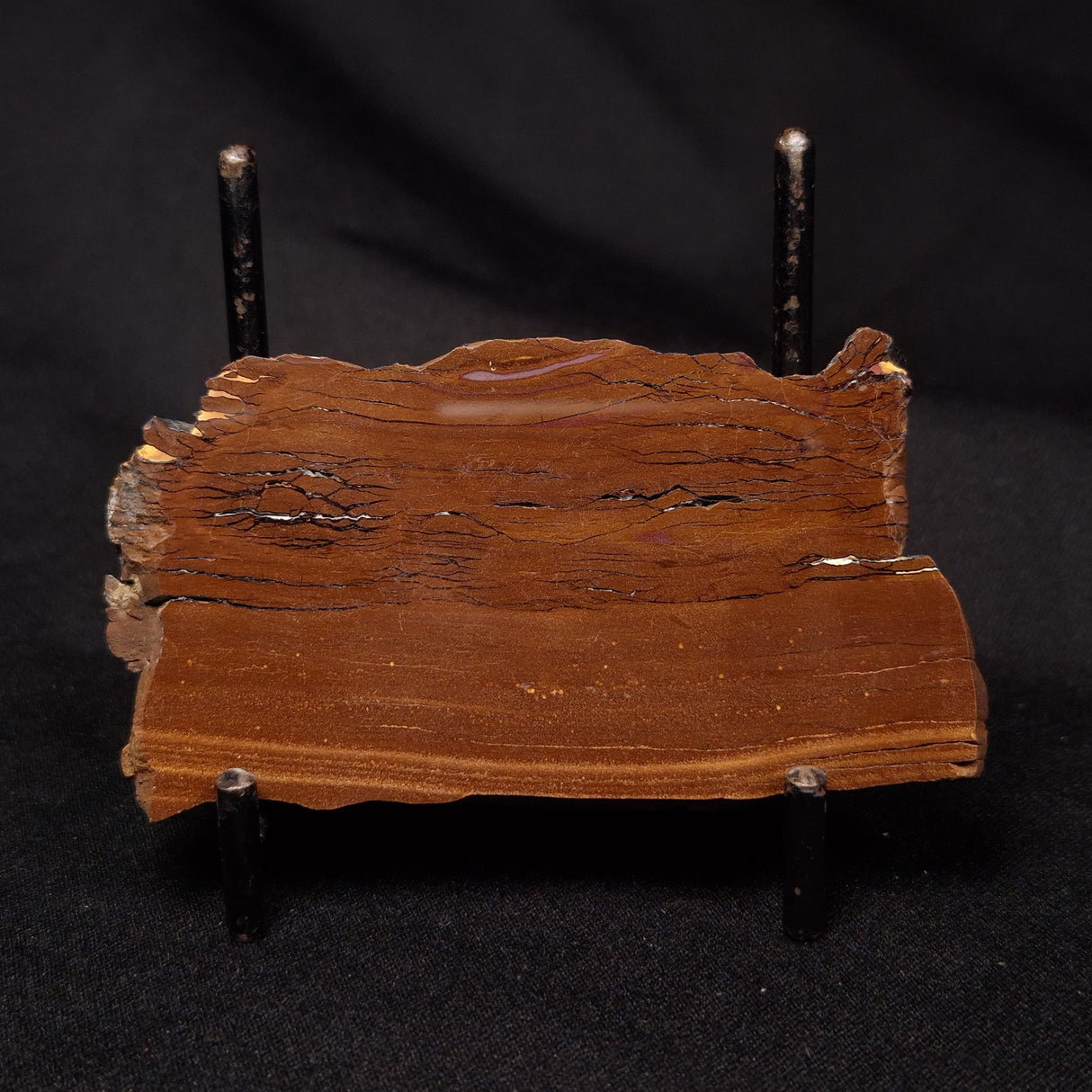 STROMATOLITE, Parda Formation, Early Cretaceous (Aptian), Australia ZPF012