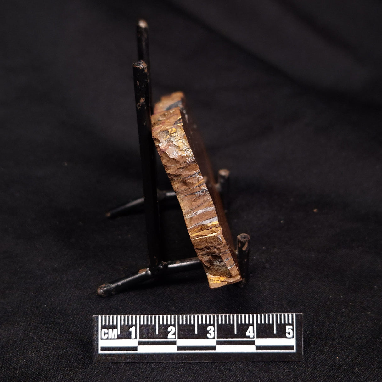 STROMATOLITE, Parda Formation, Early Cretaceous (Aptian), Australia ZPF017