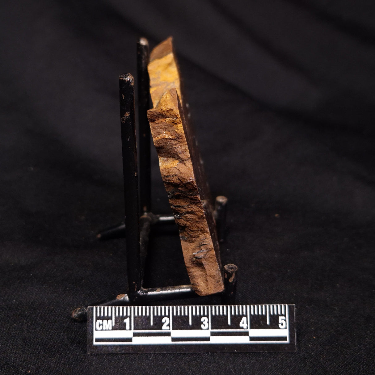 STROMATOLITE, Parda Formation, Early Cretaceous (Aptian), Australia ZPF019