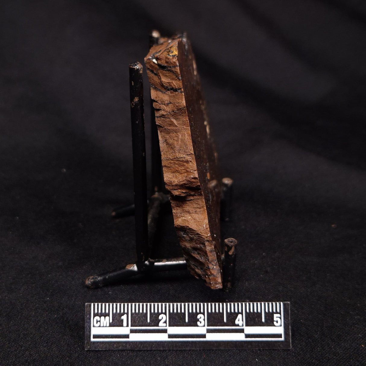STROMATOLITE, Parda Formation, Early Cretaceous (Aptian), Australia ZPF023