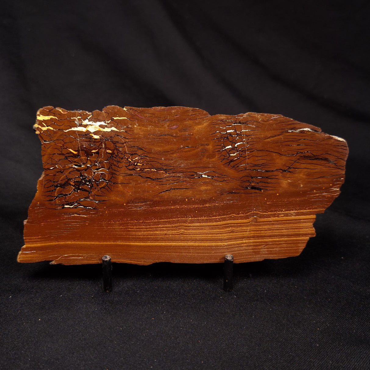 STROMATOLITE, Parda Formation, Early Cretaceous (Aptian), Australia ZPF026