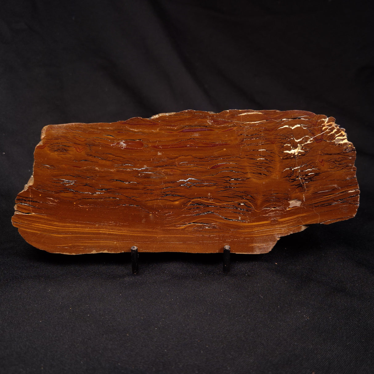 STROMATOLITE, Parda Formation, Early Cretaceous (Aptian), Australia ZPF031