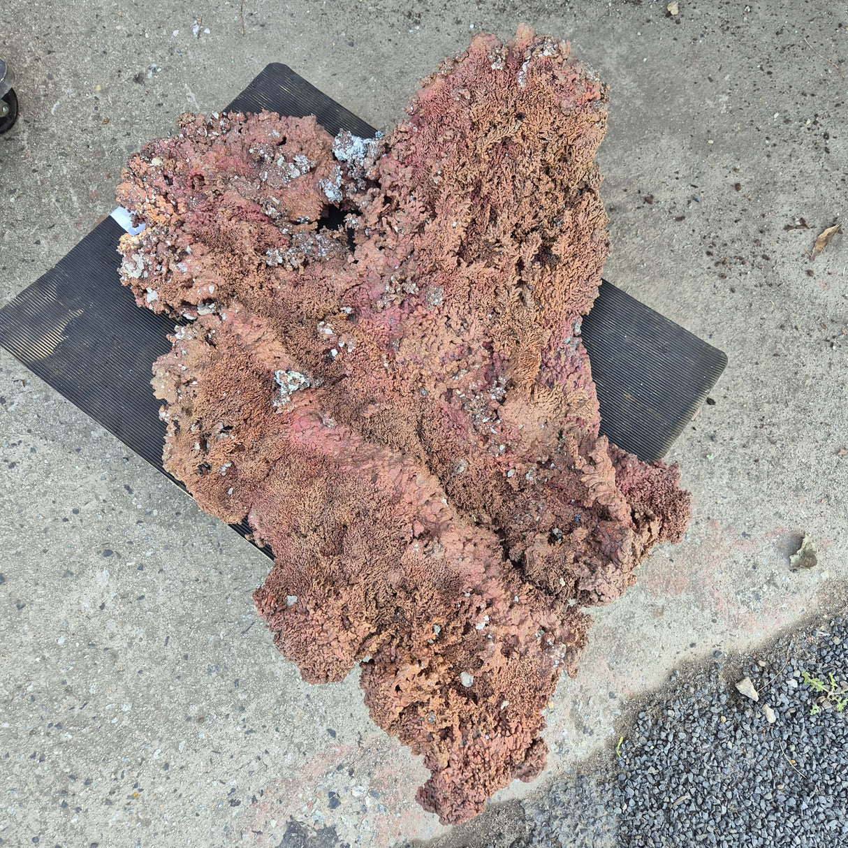 NATIVE COPPER SPECIMEN, Australia XNC002
