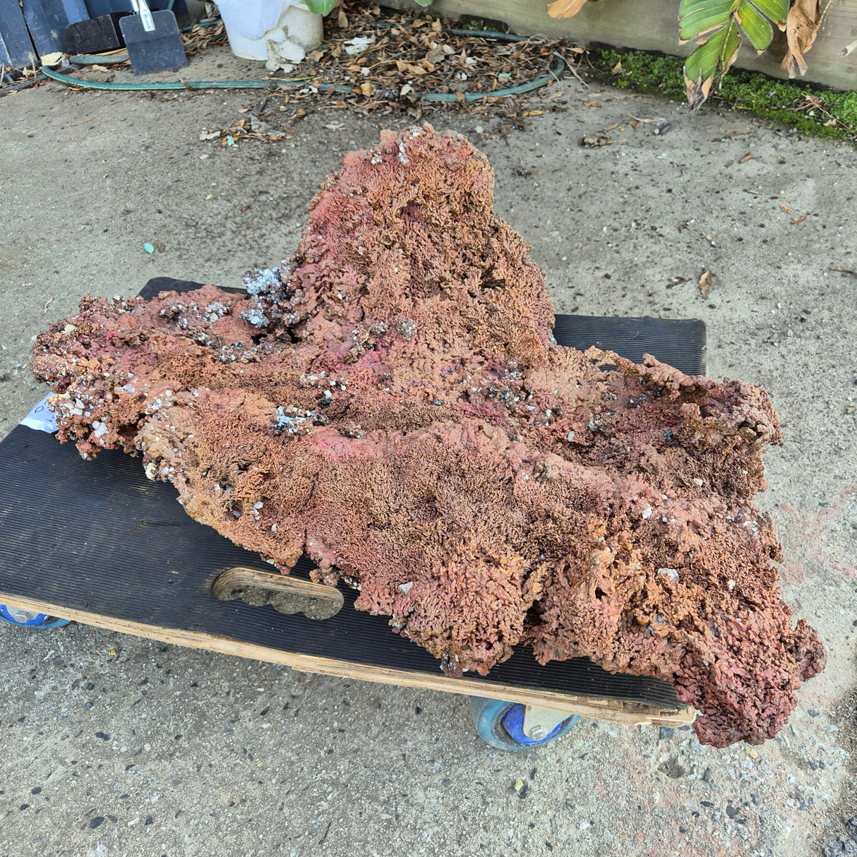 NATIVE COPPER SPECIMEN, Australia XNC002