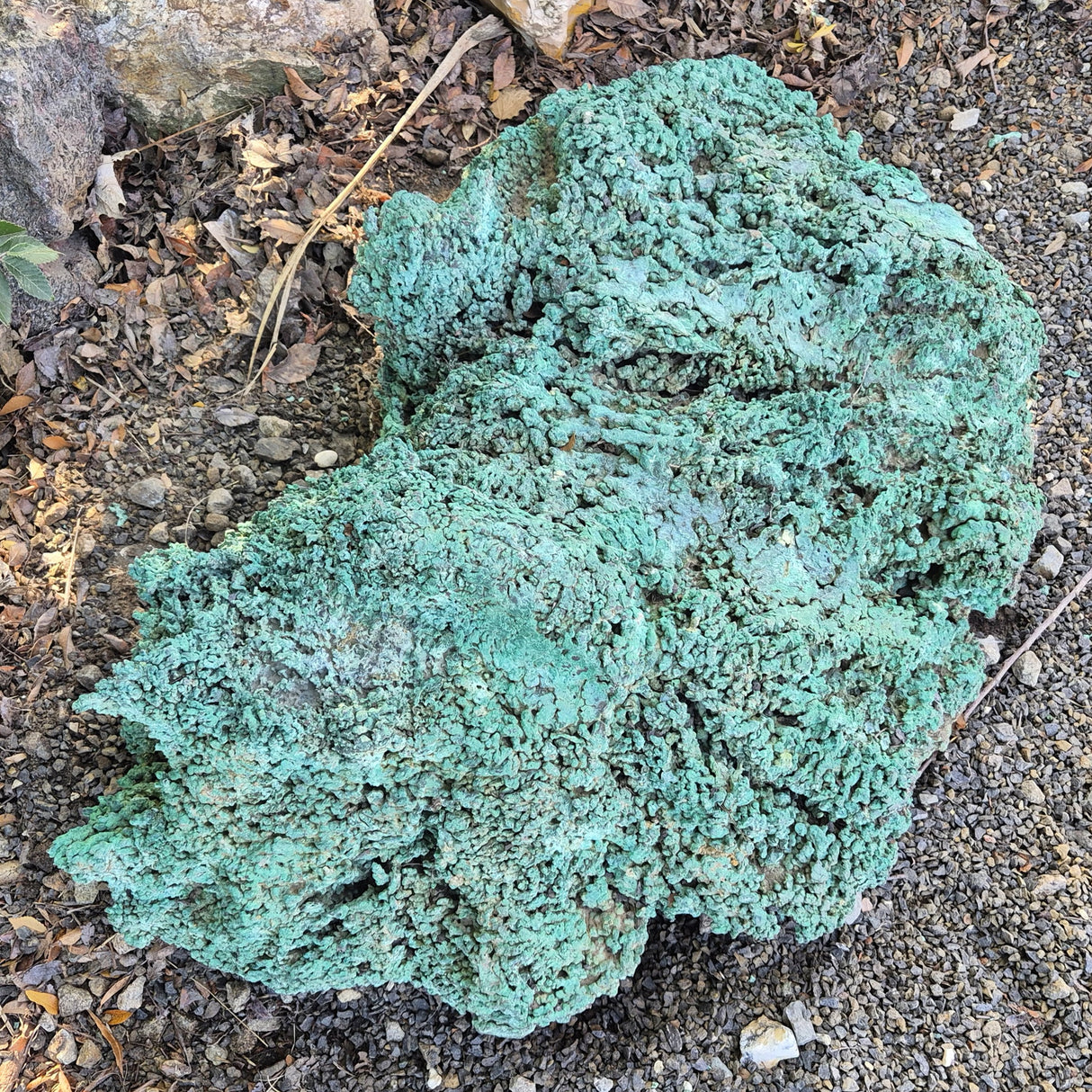 NATIVE COPPER SPECIMEN, Australia XNC006