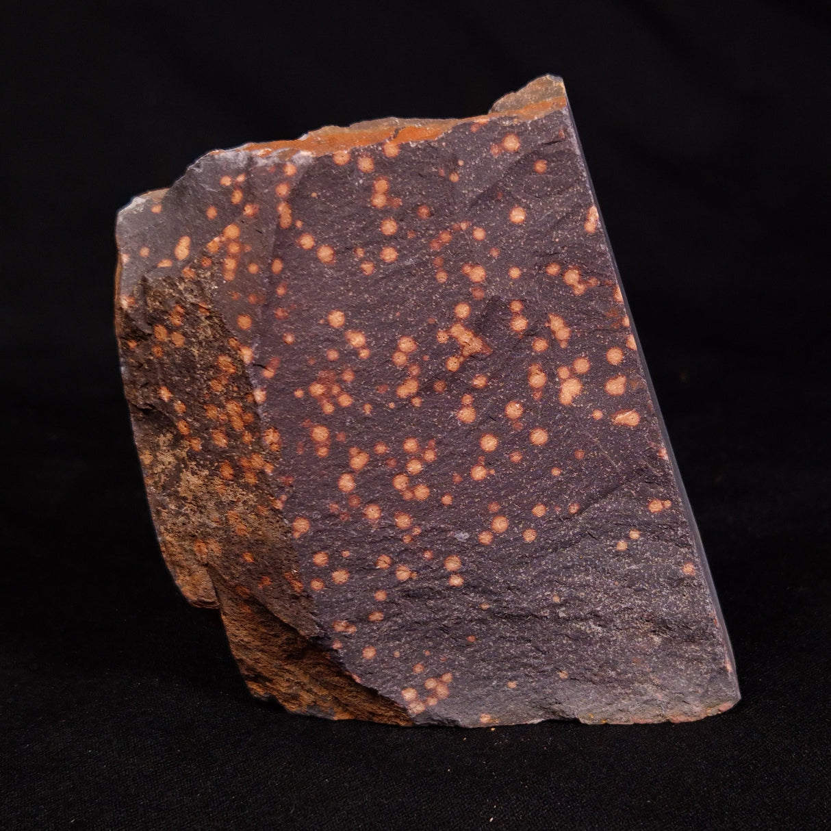 ASTRONOMITE, Australia XAS001