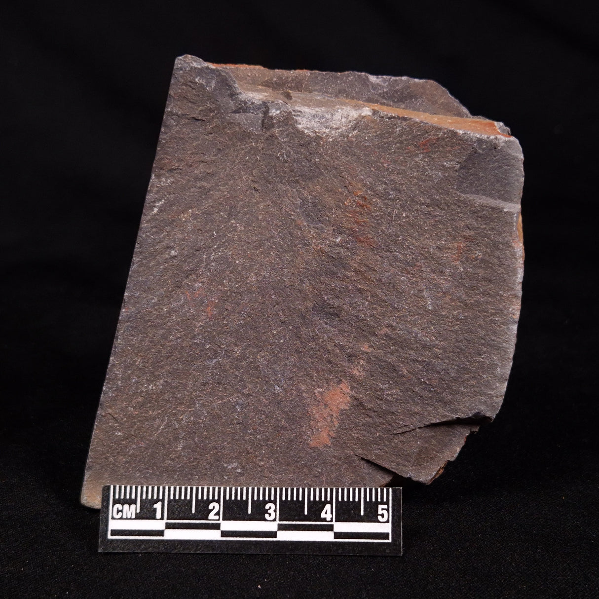 ASTRONOMITE, Australia XAS001