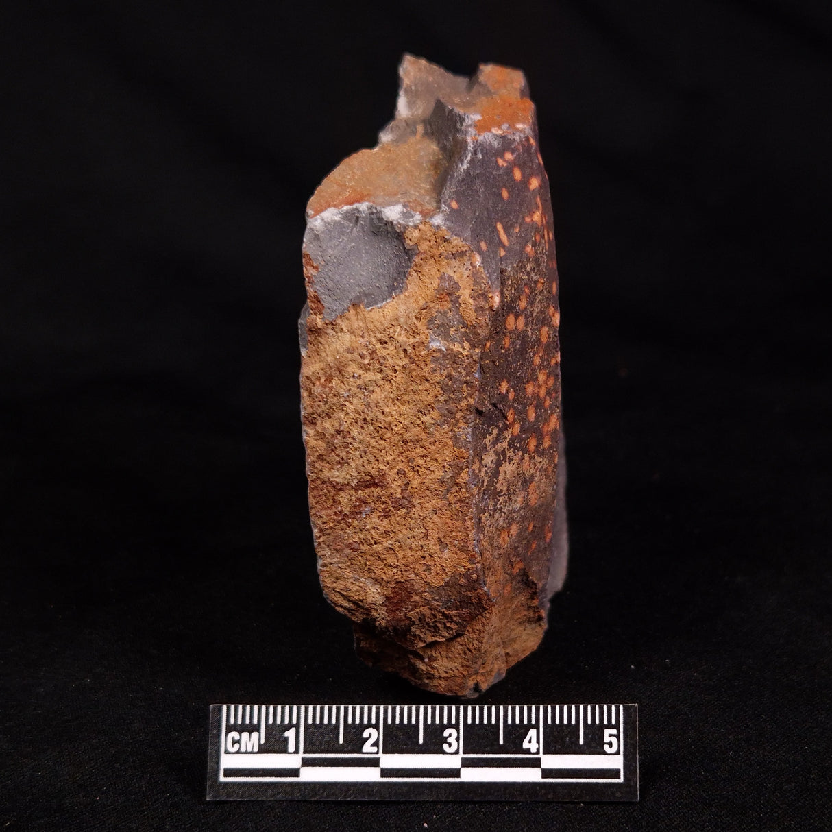 ASTRONOMITE, Australia XAS001