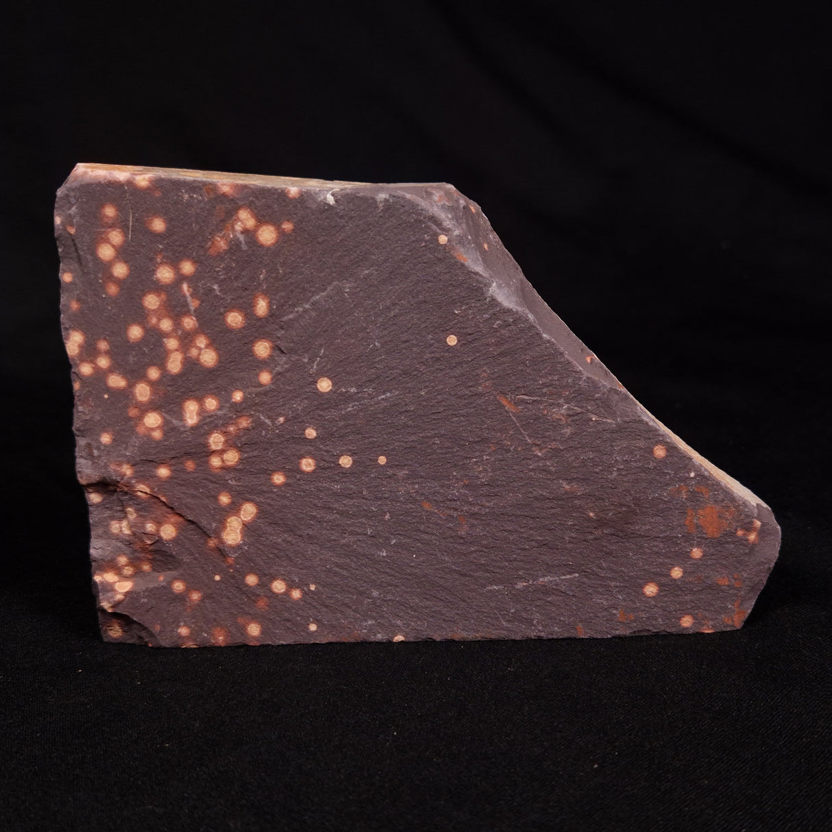 ASTRONOMITE, Australia XAS002