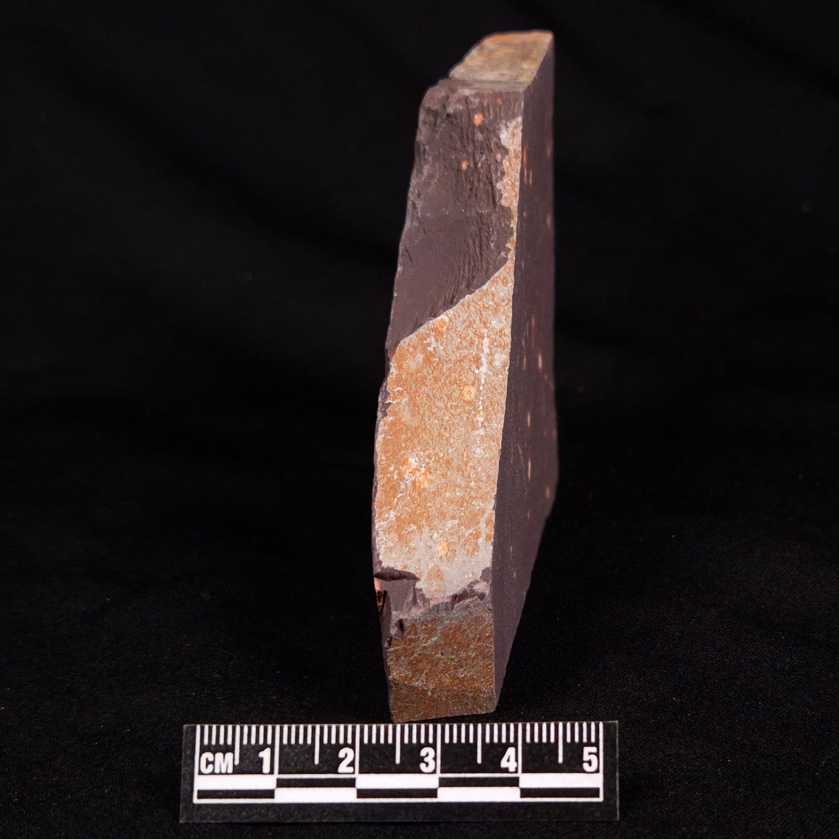 ASTRONOMITE, Australia XAS002