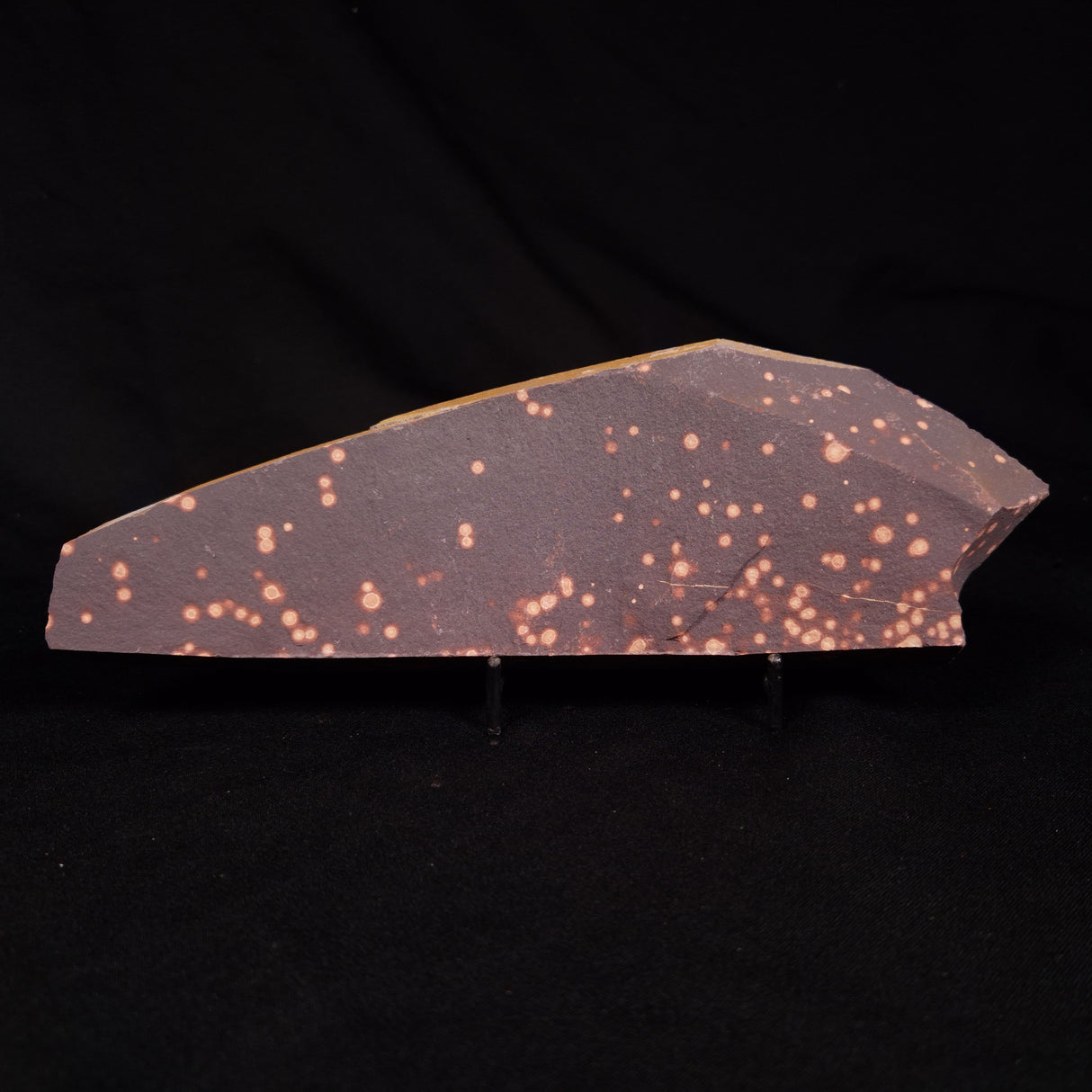 ASTRONOMITE, Australia XAS004