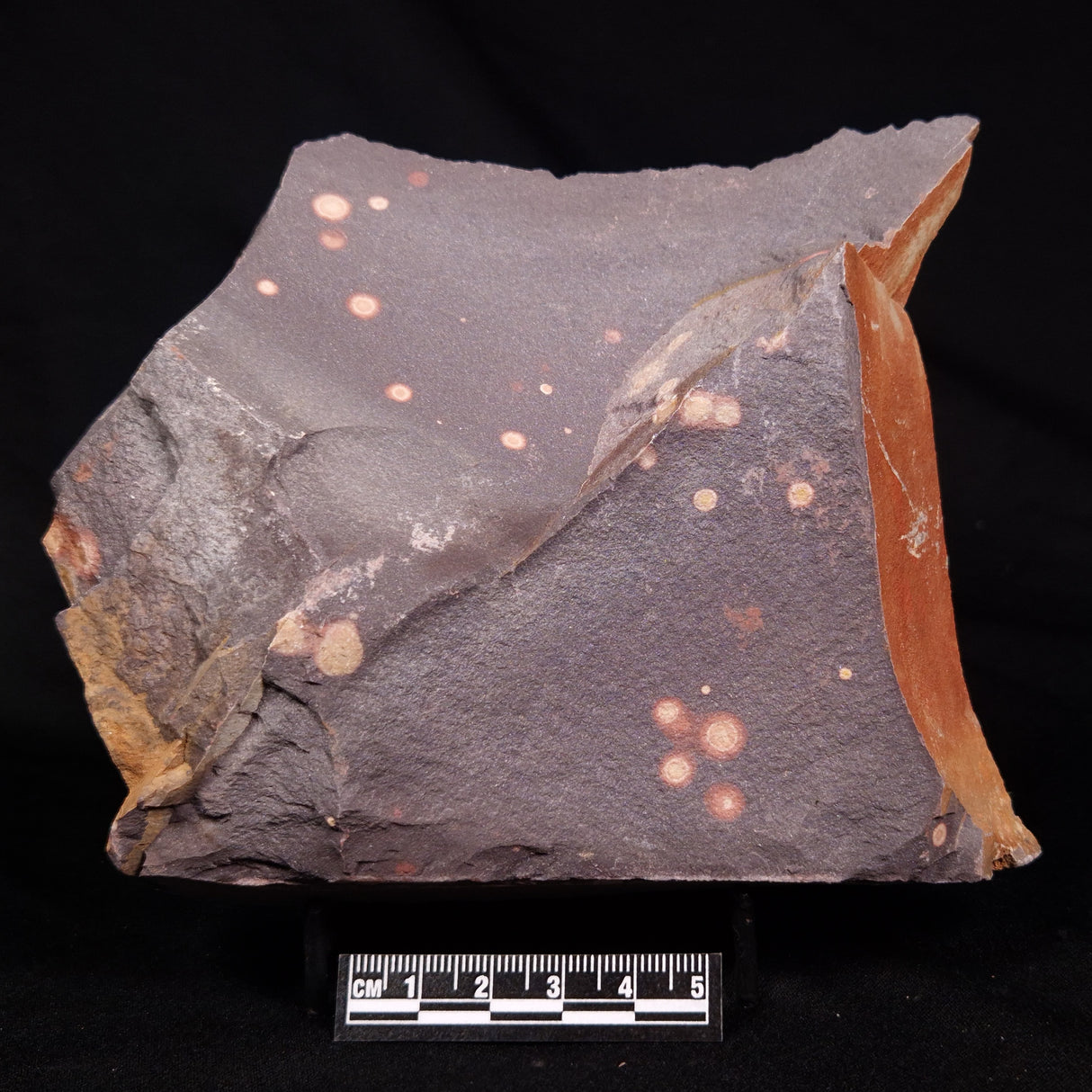 ASTRONOMITE, Australia XAS006