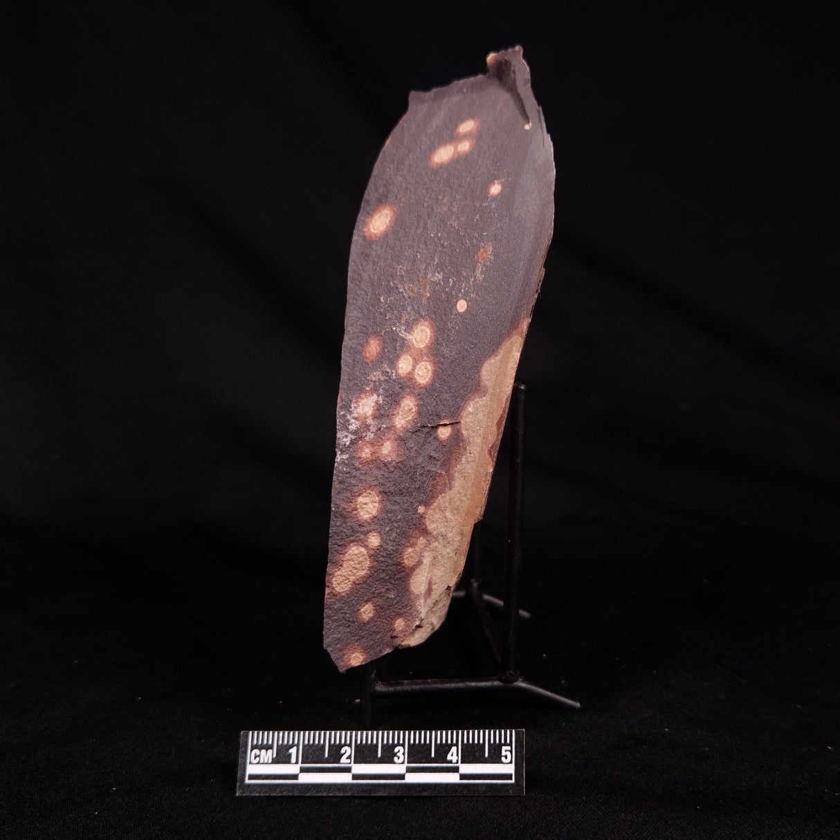 ASTRONOMITE, Australia XAS008