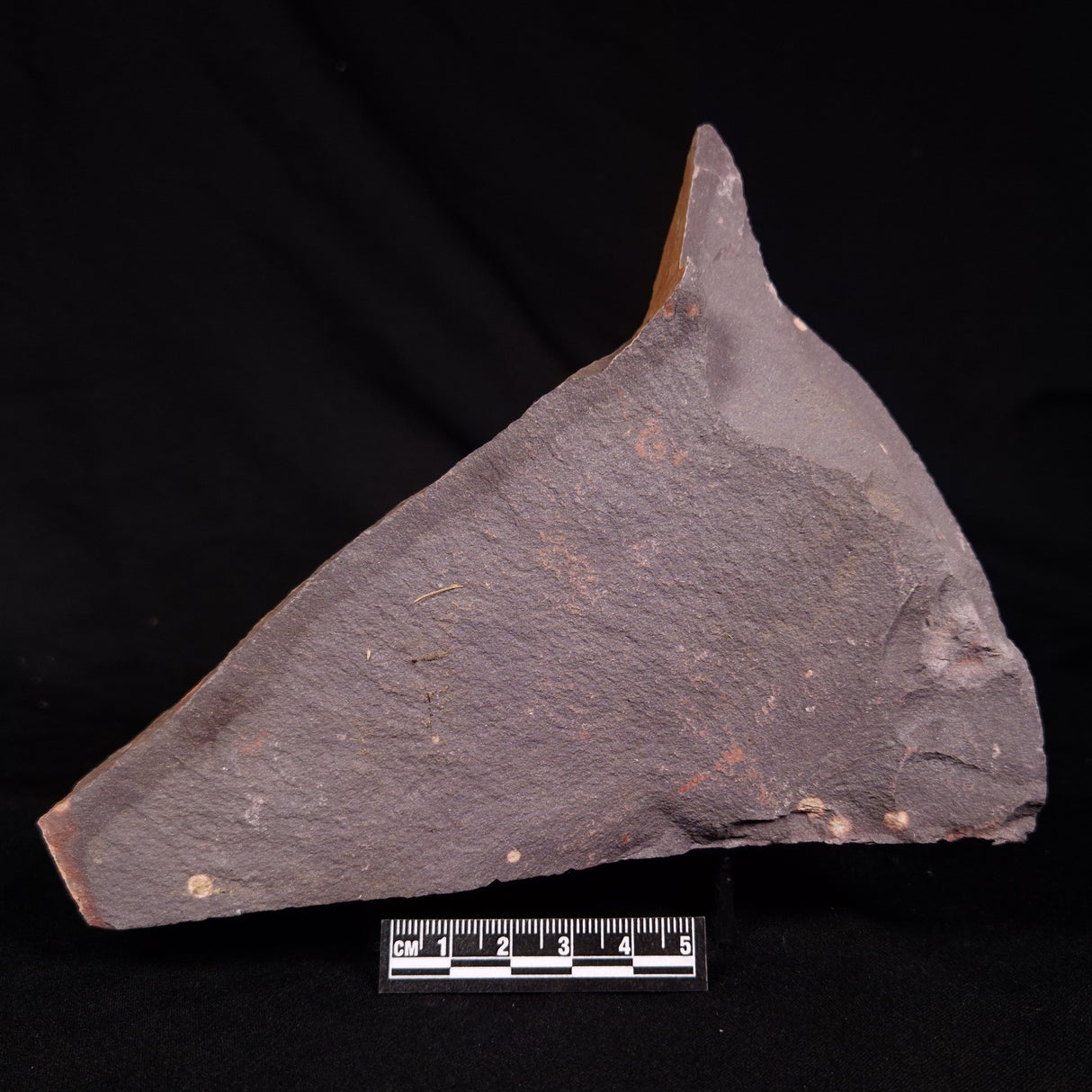ASTRONOMITE, Australia XAS009