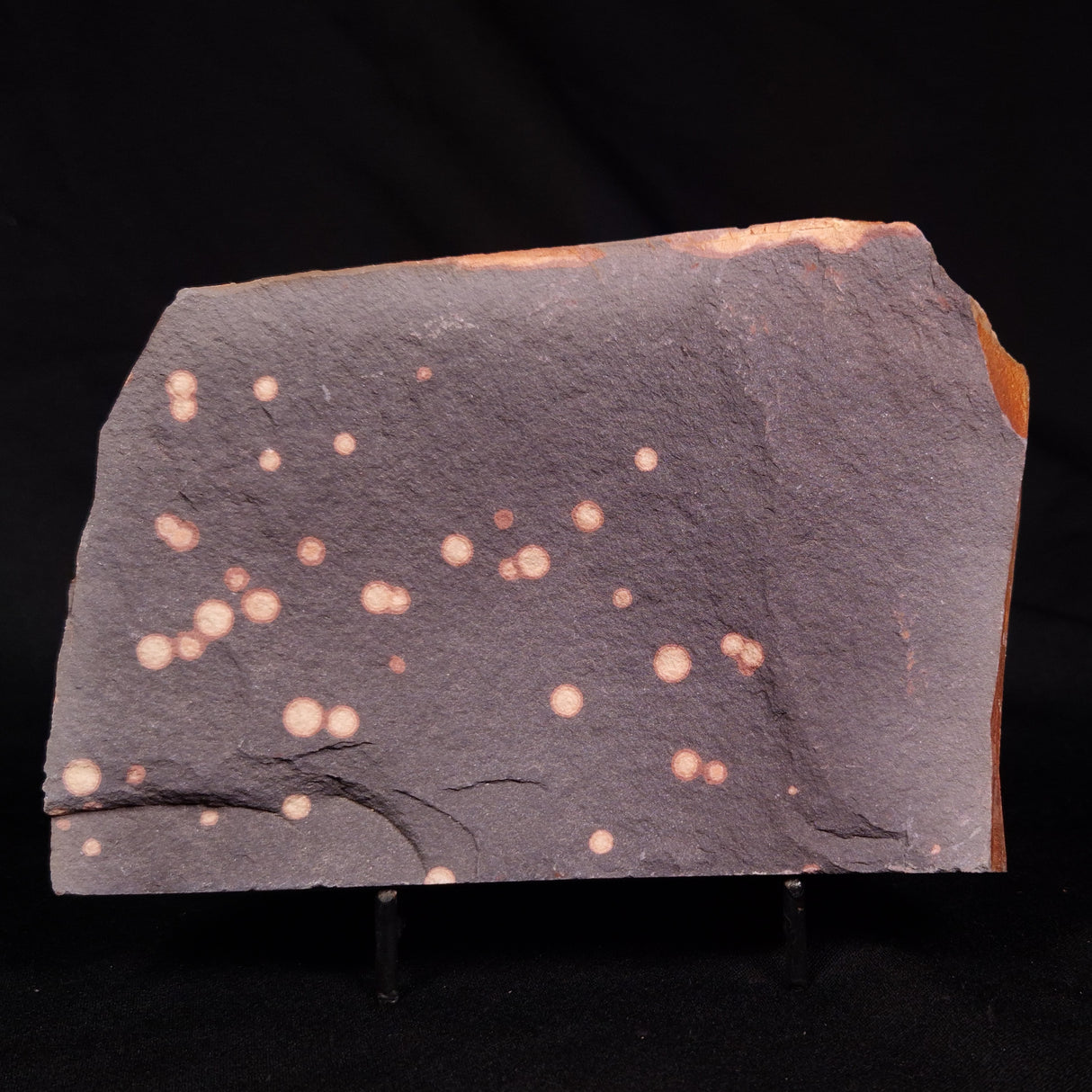 ASTRONOMITE, Australia XAS010