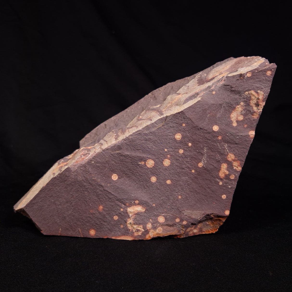 ASTRONOMITE, Australia XAS012