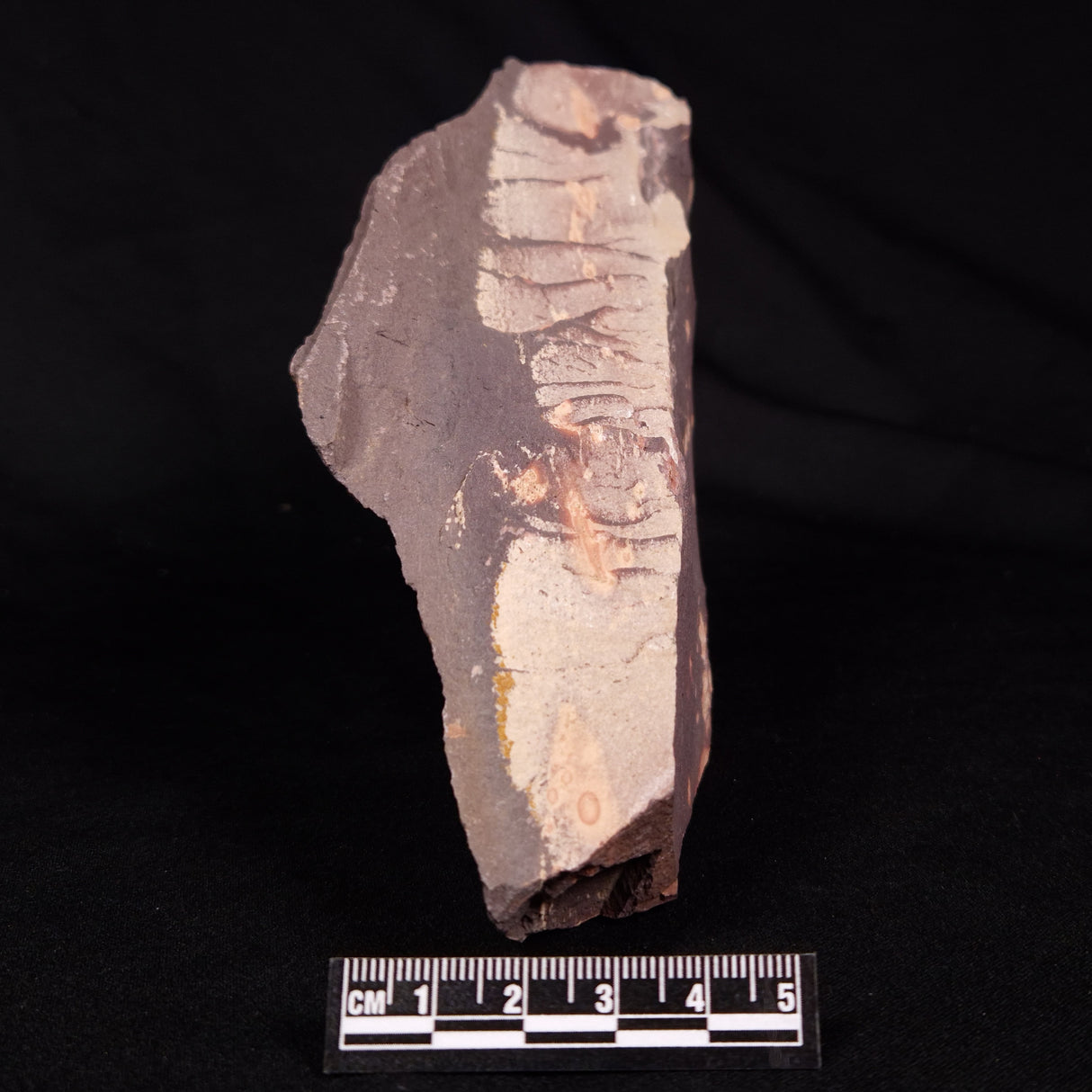 ASTRONOMITE, Australia XAS012