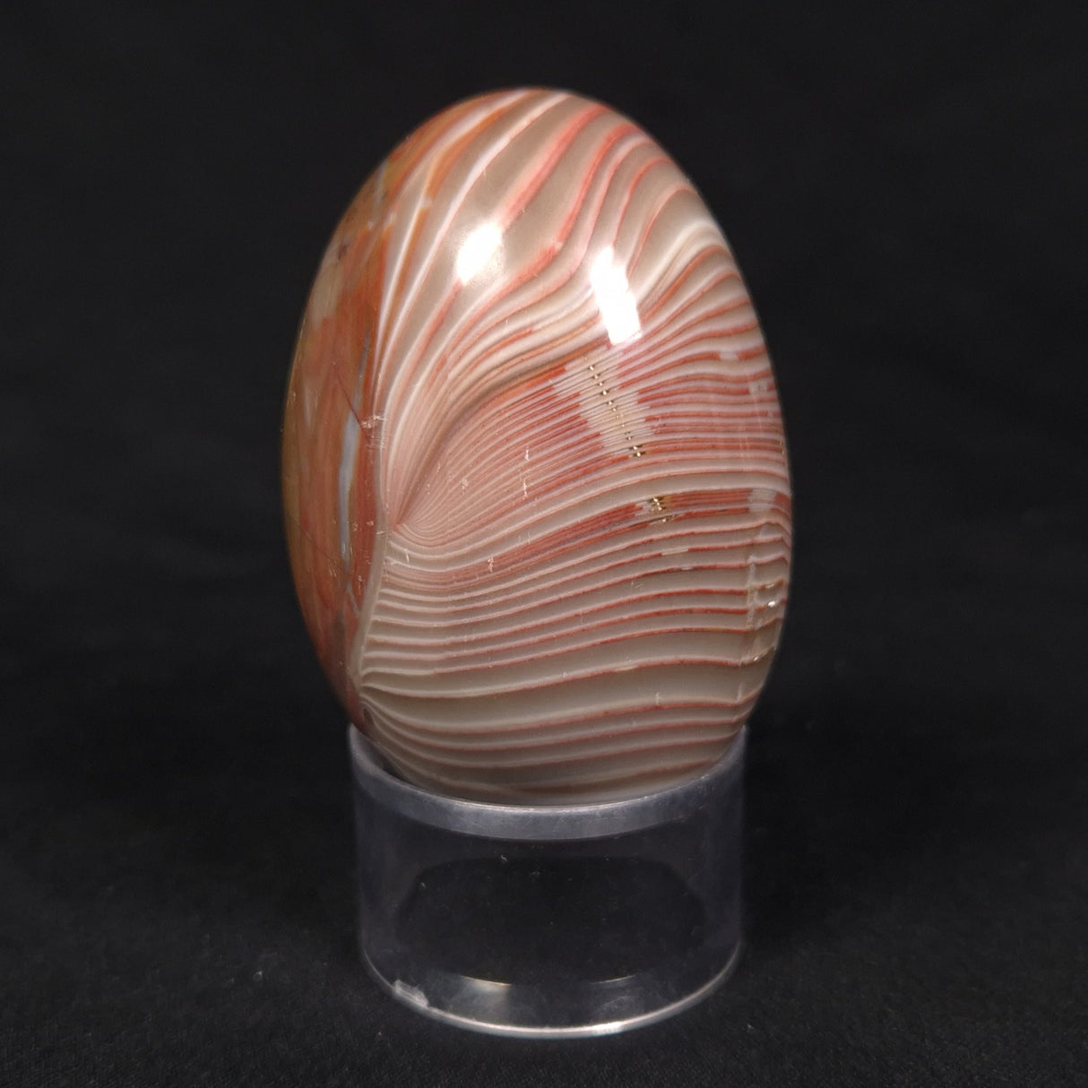 RIBBON STONE EGG, Australia YMS002
