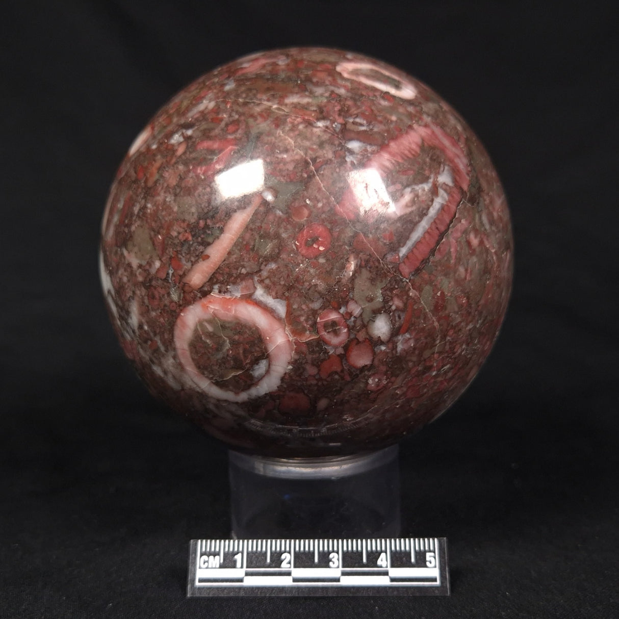 CRINOID MARBLE SPHERE, Australia YMS005